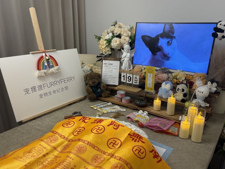 株洲宠物纪念